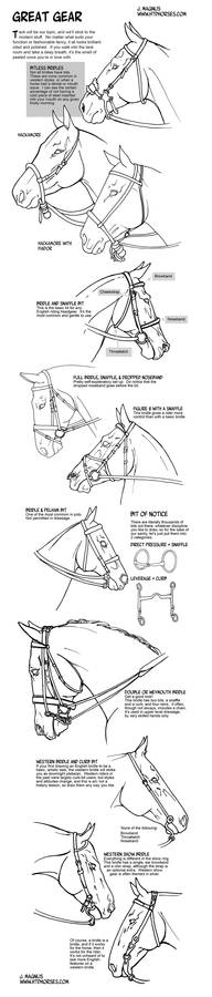 How to draw tack Bridles and Bits