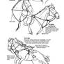 How to draw tack Optional Extras