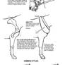 How to draw tack Harness