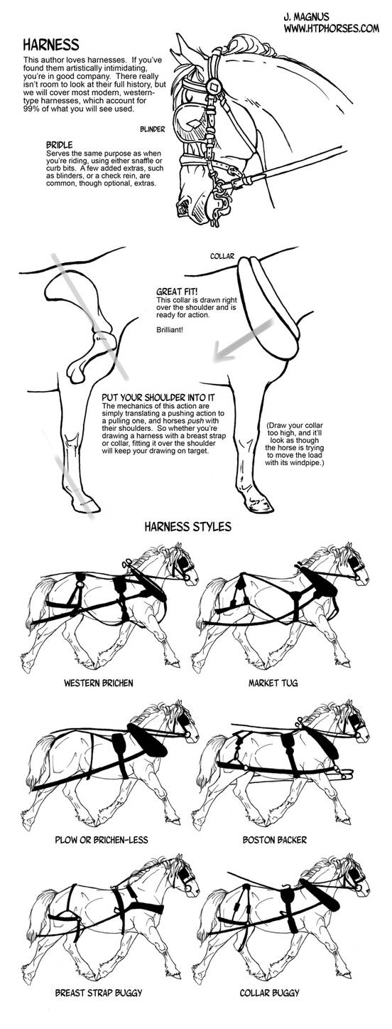 Harness Drawing Rev Examples How to draw tack Harness by sketcherjak on DeviantArt