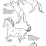 How to draw Classical Dressage Movement