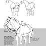 How to Draw Horses of the Classical World