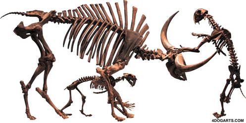 Tutorial: Bison latifrons and smilodon attack!