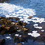 Frosted Froth On River