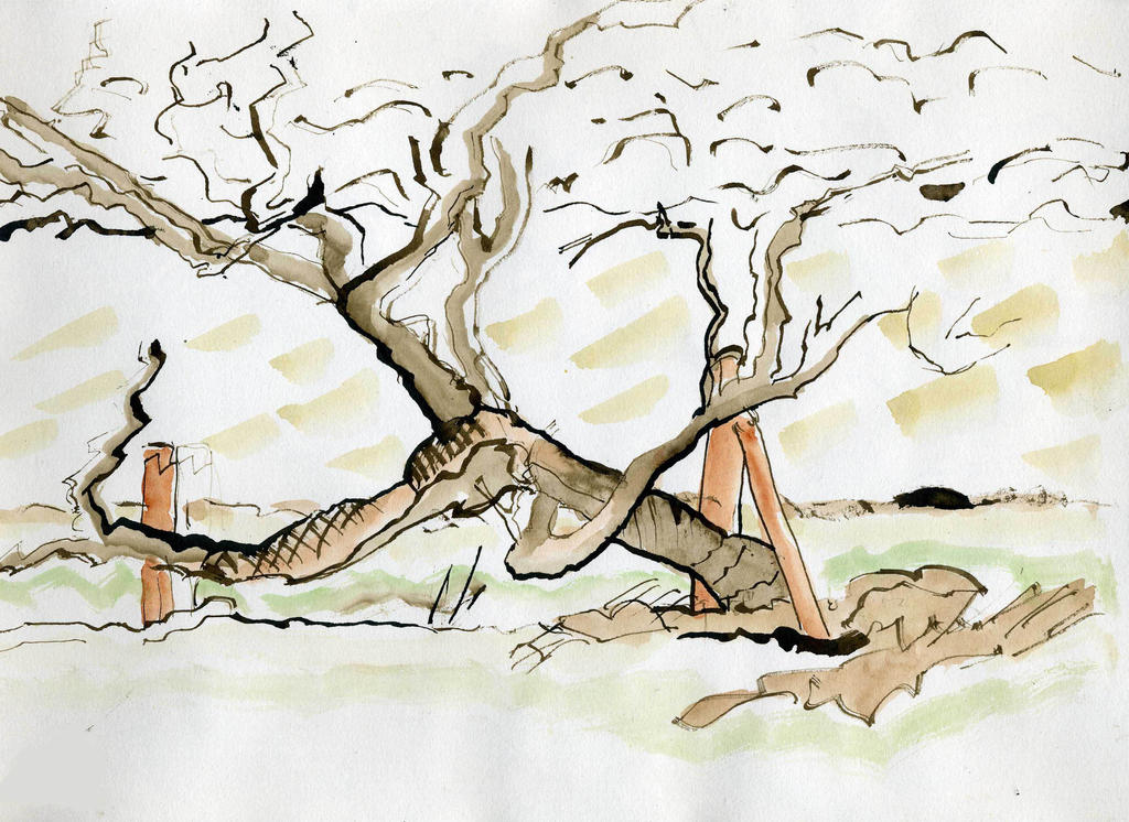 Old Willow Tree Marshland by merearthling on DeviantArt