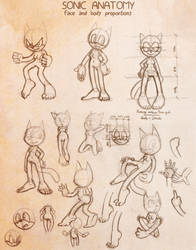 Sonic Anatomy: Body proportions