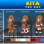 ::Ref2015:: Kita the cat