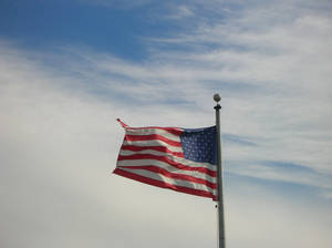 Flag in the wind