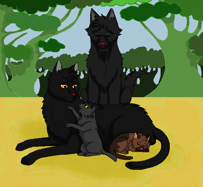 Warrior Cats by Kityote on DeviantArt