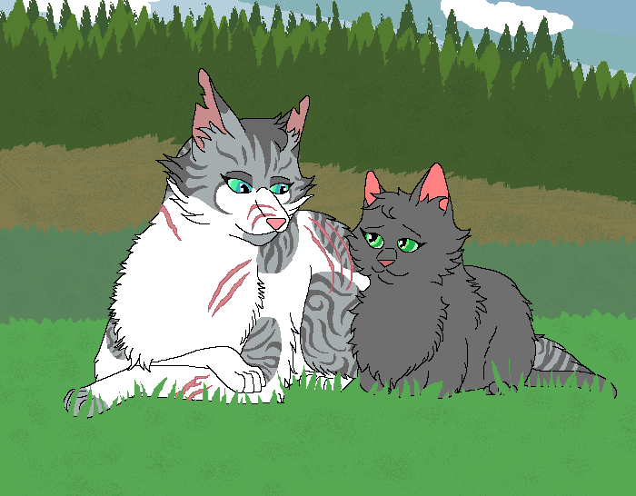 Warrior Cats by Kityote on DeviantArt