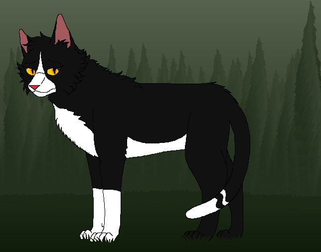 Warrior cats-Violetpaw