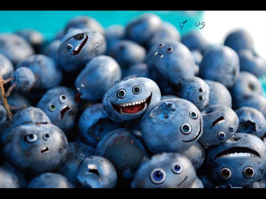 Blueberry Madness_Emotions