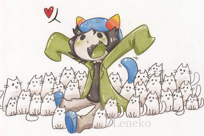 Nepeta with 28 cats