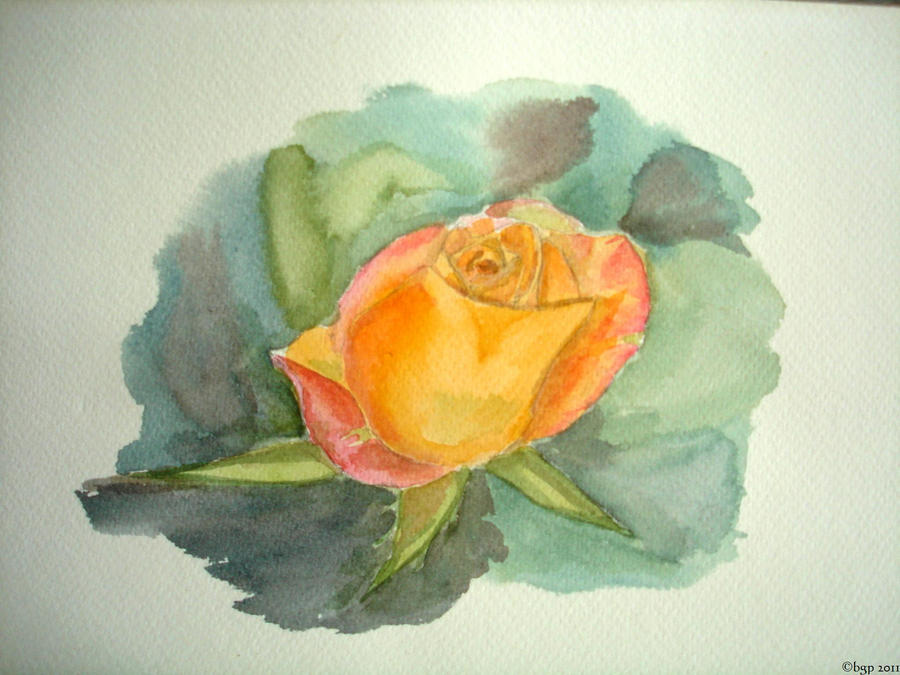 Rose 1