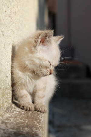 is it safe here? by andreea09 is it safe here? by andreea09