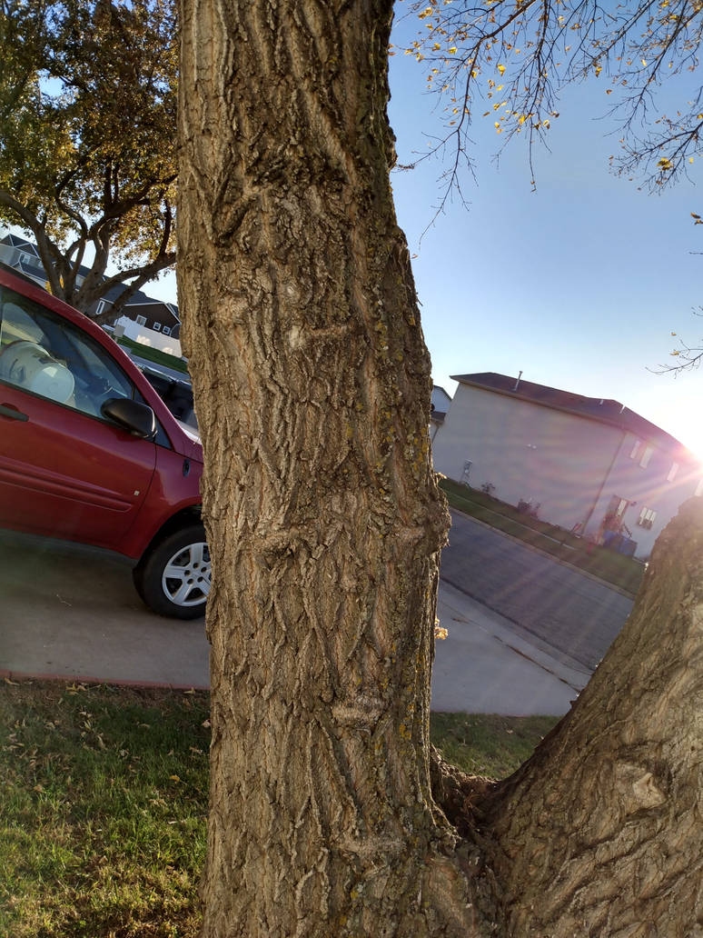 Seemingly Normal... by Chaosfive-55 on DeviantArt