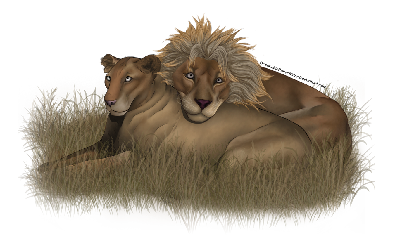 A Lion and his Queen