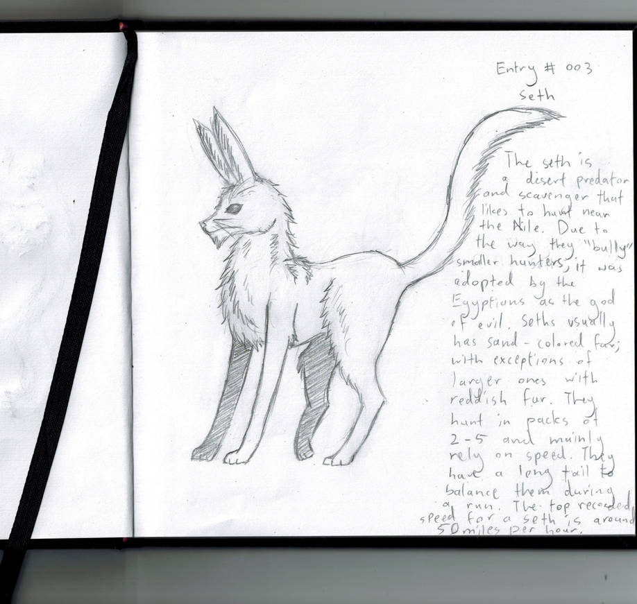 Seth The Rabbit Entry # 003: Seth by Le-Rabbit on DeviantArt