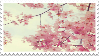 cherry blossoms stamp by sinnamonstamps