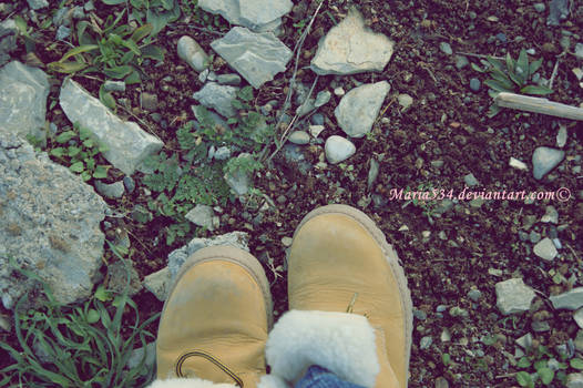 Timberland