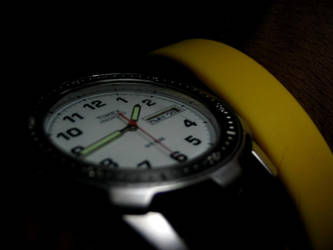 timex watch