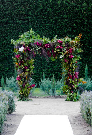 Coombe the Melba Estate Wedding stock 6 by KihOskh714 Coombe the Melba Estate Wedding stock 6 by KihOskh714