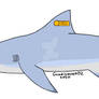 Sylvia the Glyphis Shark