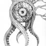 cephalopod