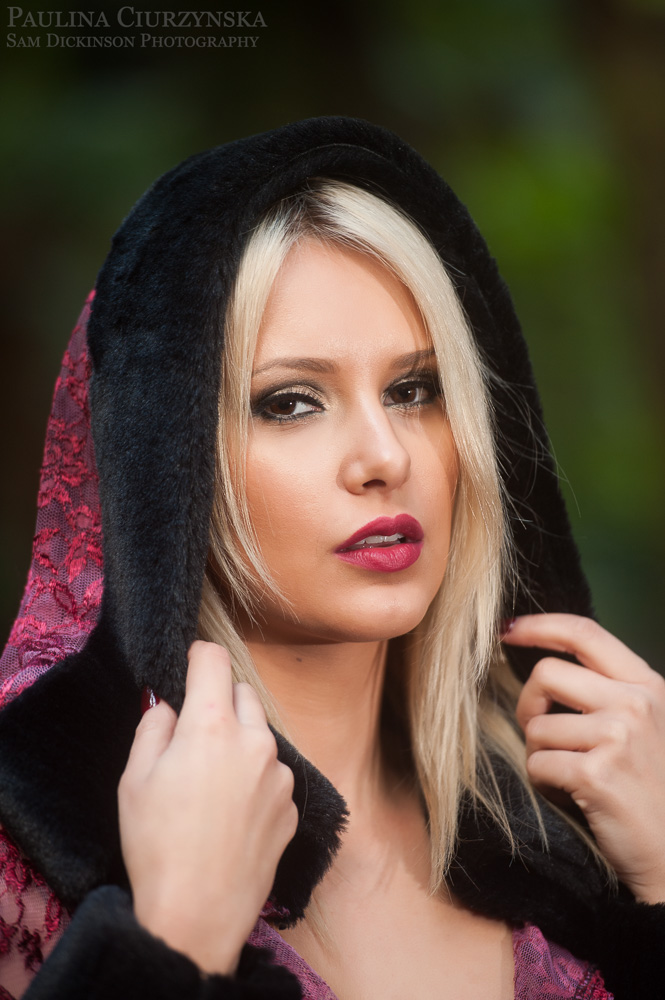 Little fashion riding hood III