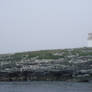 Misty Maine Lighthouse