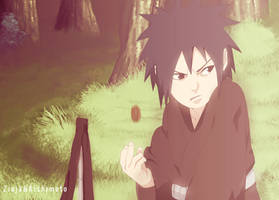 621-17-01- Madara