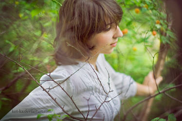 in the orchard.