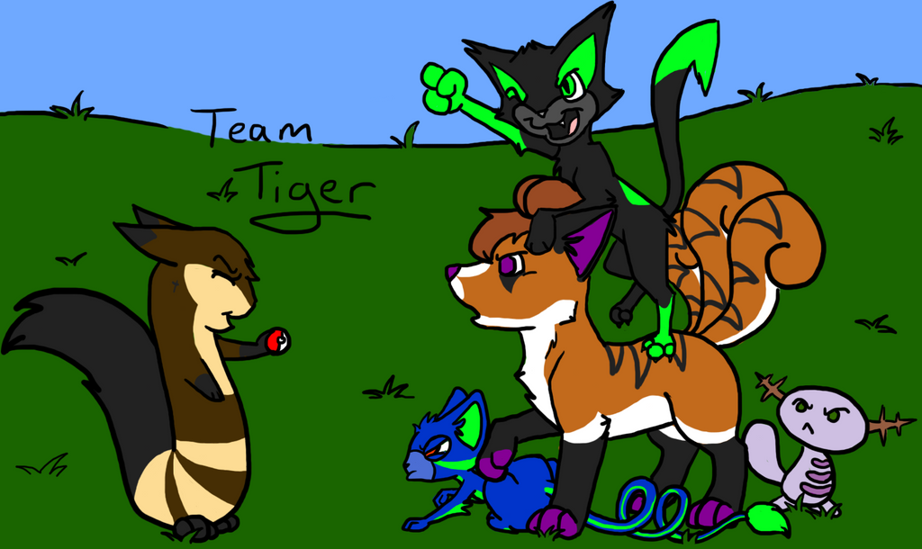 Team Tiger Loop Team Tiger by LassiTheDawg on DeviantArt