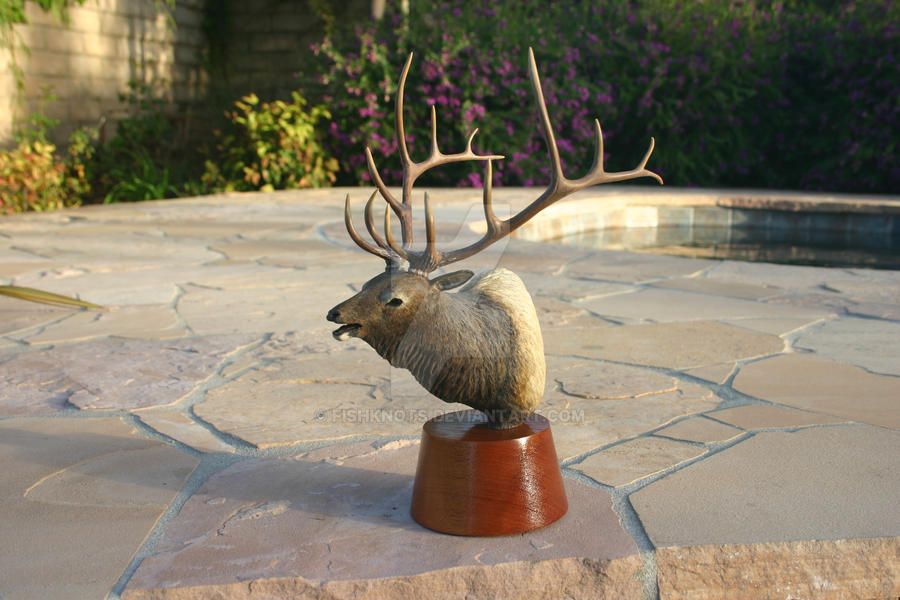 Elk Bust Wood Carving