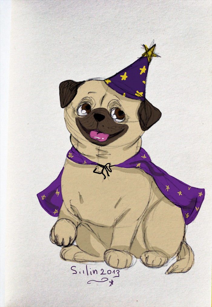 Pug wizard