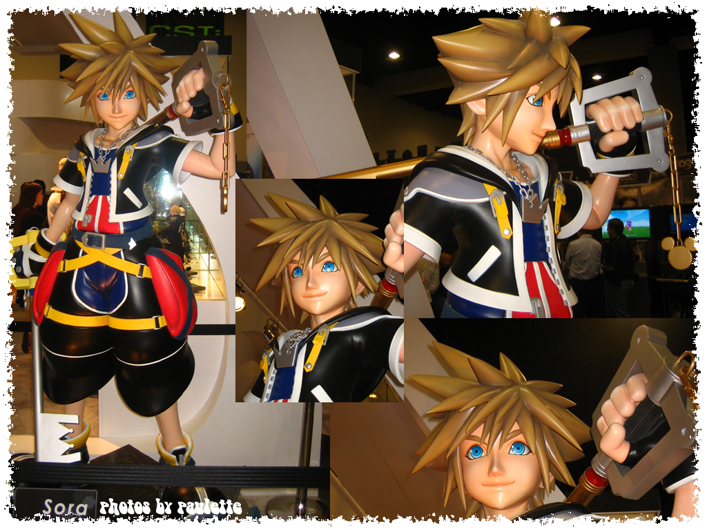 sora goes to comic con