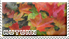 Stamp: Autumn