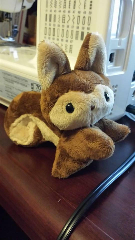 Squirrel Risu Risu Squirrel by Neko-Ichi on DeviantArt