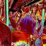 pulse