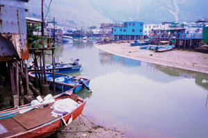 Tai O Summer - uncropped