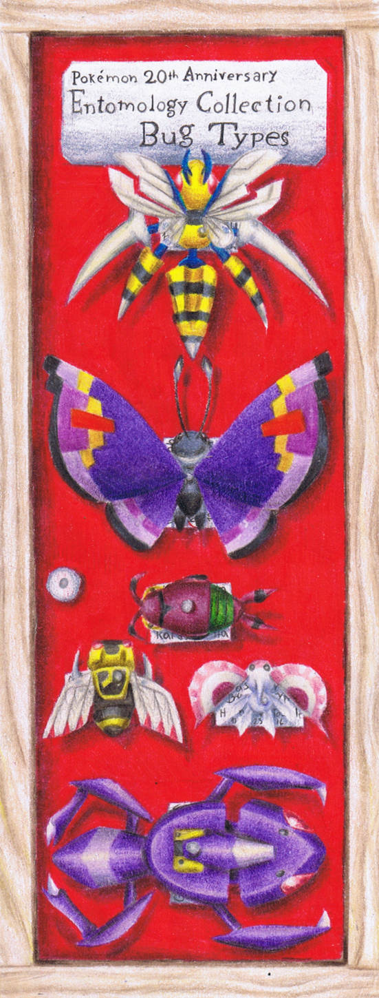 Arthropoda by MissionSunshine on DeviantArt