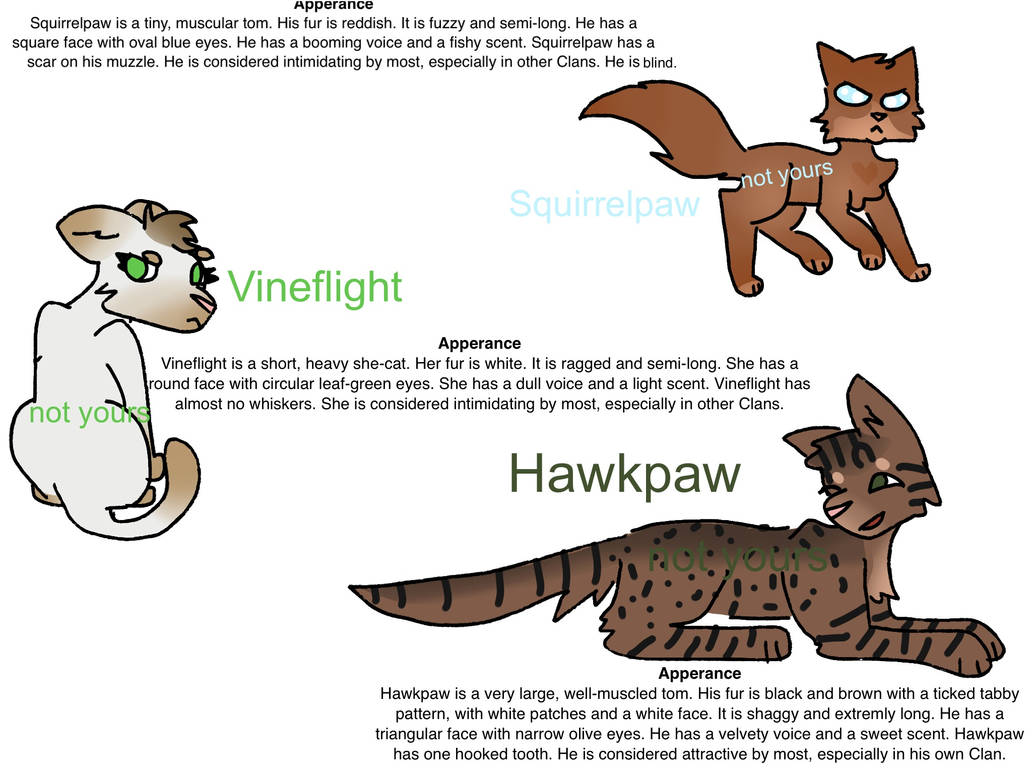 flutterheart on X: I made a reference sheet for Clanborn, pure-bred warrior  cats designs, mapping out each distinctive feature each Clan would possess,  each inspired by a certain big cat! #warriors #warriorcats #