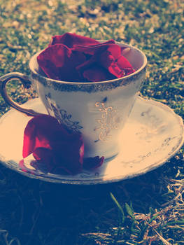 Tea of Roses