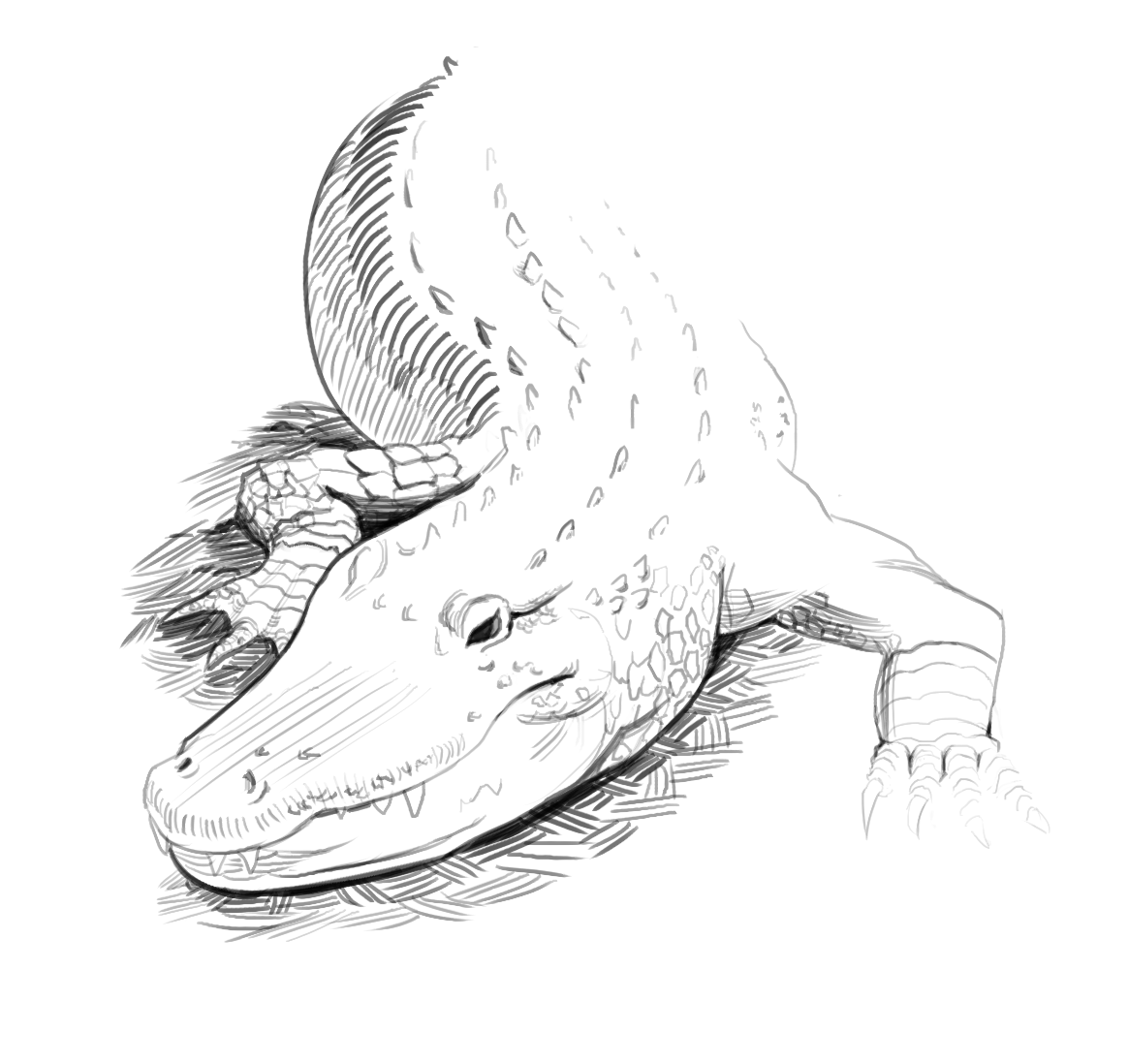 Crocodile By Guinogue On DeviantArt crocodile-by-guinogue-on-deviantart