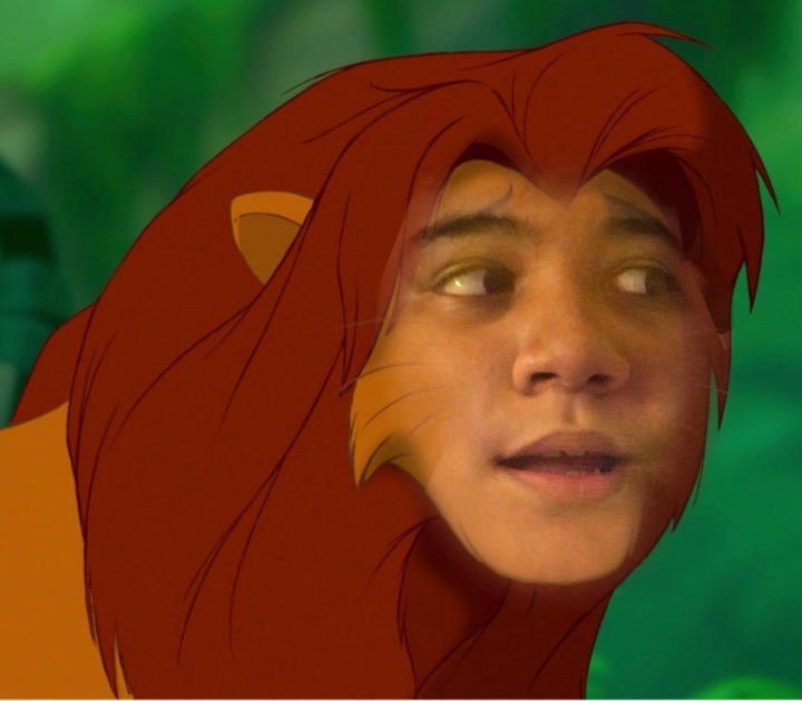 Simba (49) by GamerFaceSwaper on DeviantArt