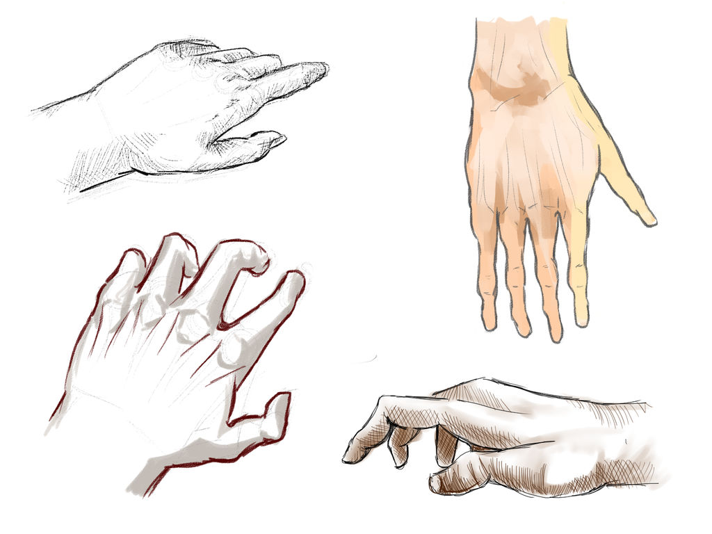 Hand Studies by punkoffice on DeviantArt