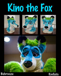 Kino the Fox