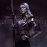 Steel cosplay armor Sindel of MK by Anna Ormeli 2