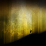 Into The Wild... by MovingMySelf