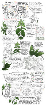 Toscomics - guide to the nettle